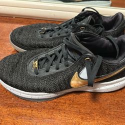 LeBron 20 Basketball Shoe