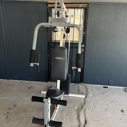 Impex Competitor Gym Equipment Weights