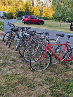 Multiple Bicycles