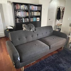 Free Couch