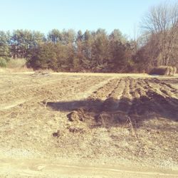 Farm Land For Lease