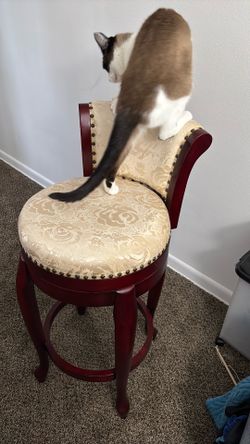 Bar stool