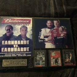 Nascar Earnhardt Vs Earnhardt