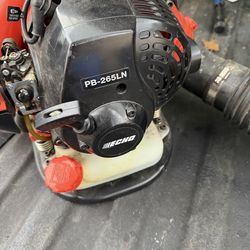 Echo backpack blower