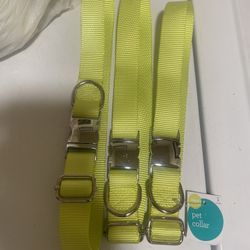 Large  Pet Collars 