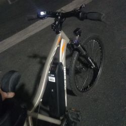5th Wheel E- Bike