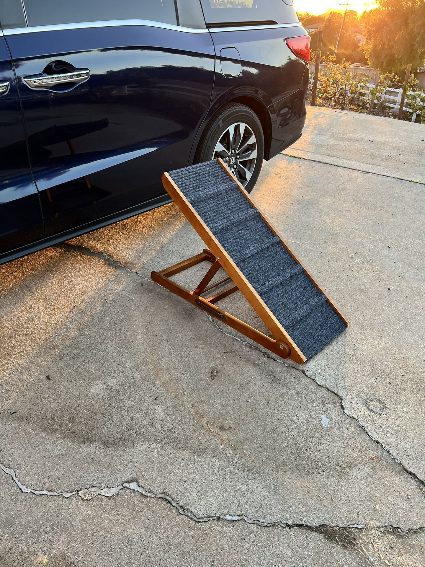 Pet Ramp & Misc For Healing