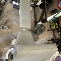 Preacher Curl Bench 
