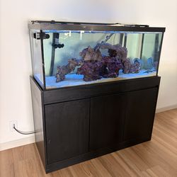 Fish tank and stand