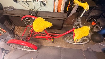 Adult red tricycle