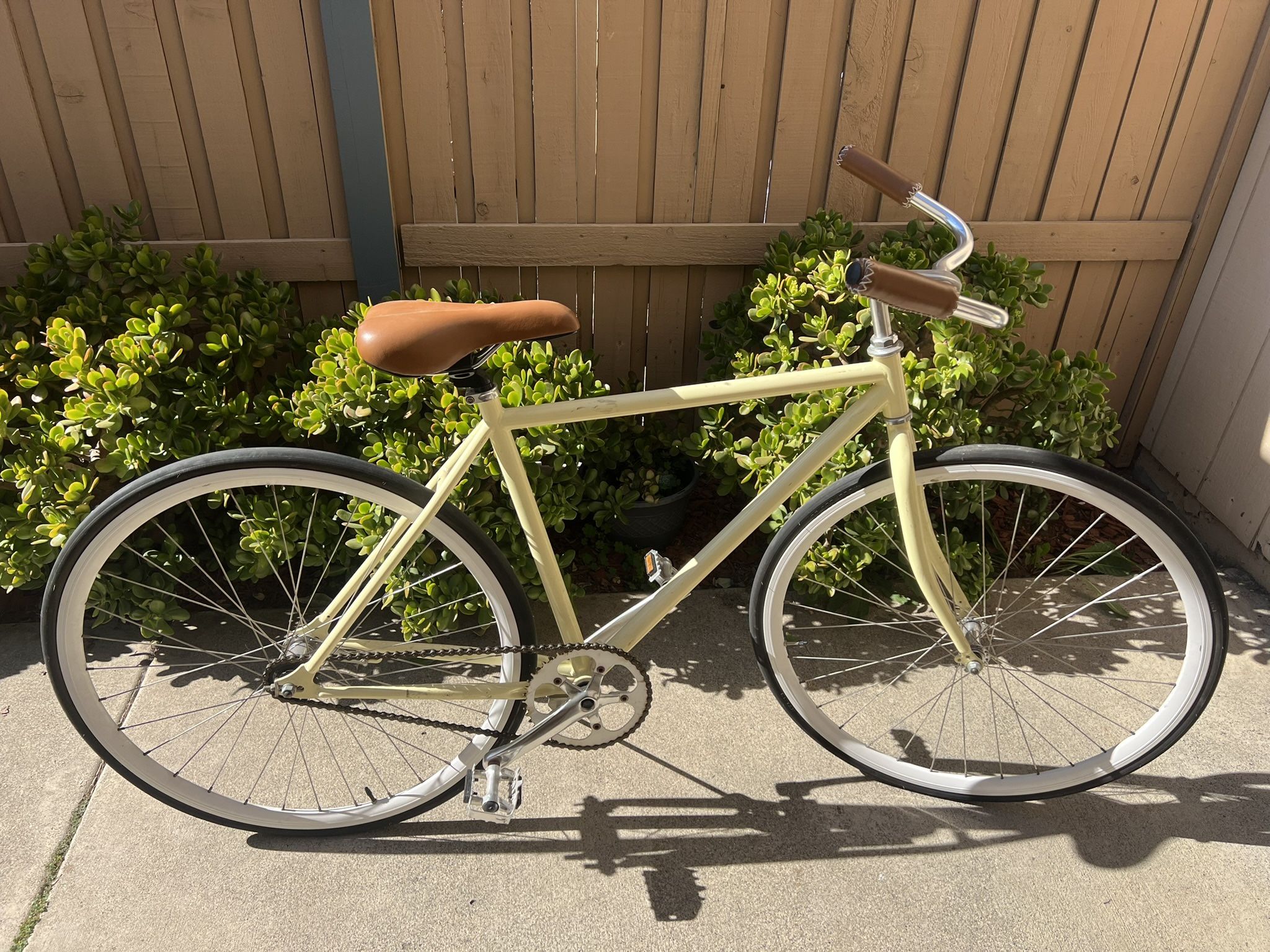 Single Speed Cruiser Bicycle with Road Tires