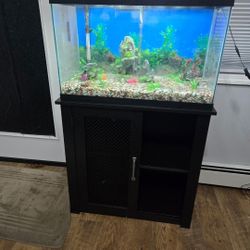 Fishtank Aquarium & stand 