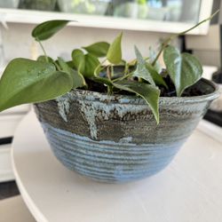 Lovely Hand Made Clay Pot With Beautiful Indoor Plant