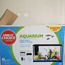 10 Gallons Tank With Accessories 