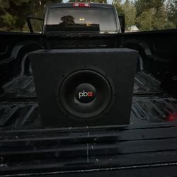 PB 10’ Subwoofer 