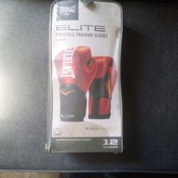 12 Ounce Everlast Prostyle Training Gloves 