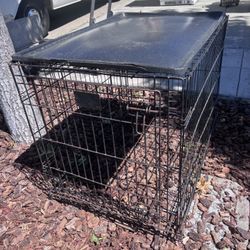 Dog Kennel 