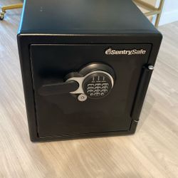 Sentry Safe 