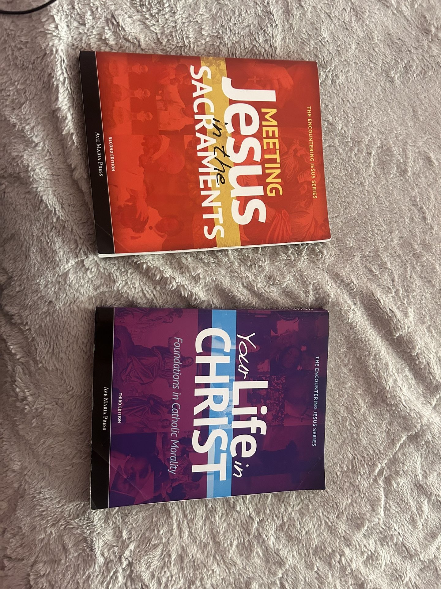 Meeting Jesus in The Sacraments & Your Life In Christ Book