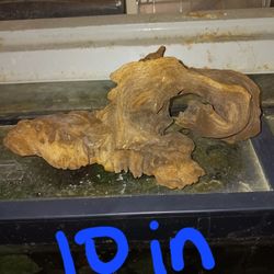 Driftwood/Mopani Wood