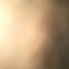 Dev