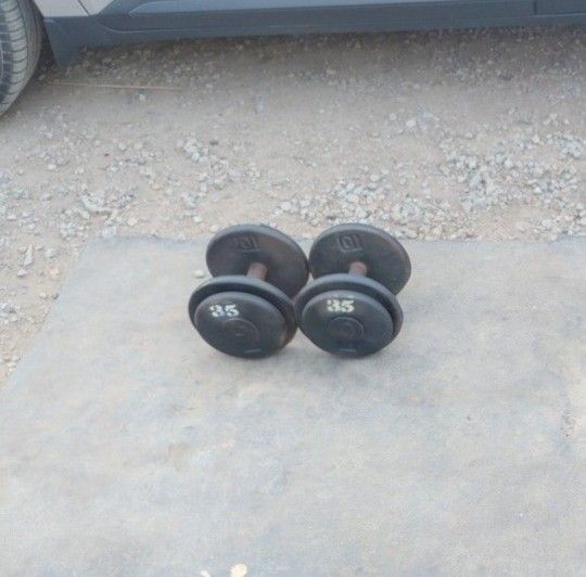 35lb Dumbbells 