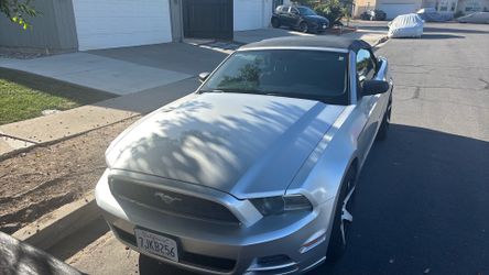 2013 mustang