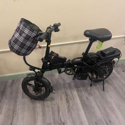 Electric Bike 