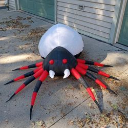 Halloween Spider 