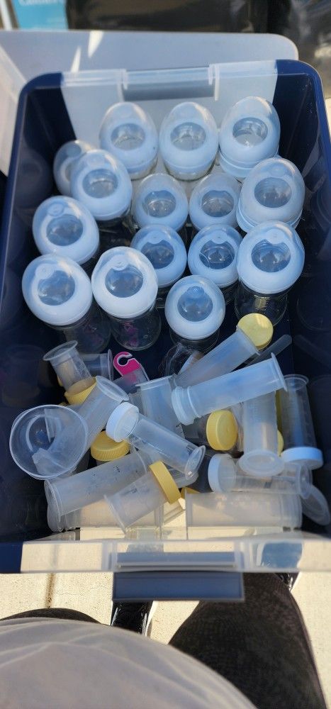 Philips Avent Glass Baby Bottles