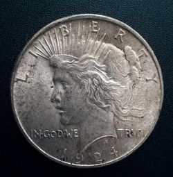 1924 Peace Silver Dollar AU Toned