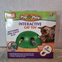 Cat toy