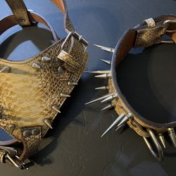 Vintage Guard Dog Spiked Studded Snakeskin Leather Harness & Collar Set for large breeds