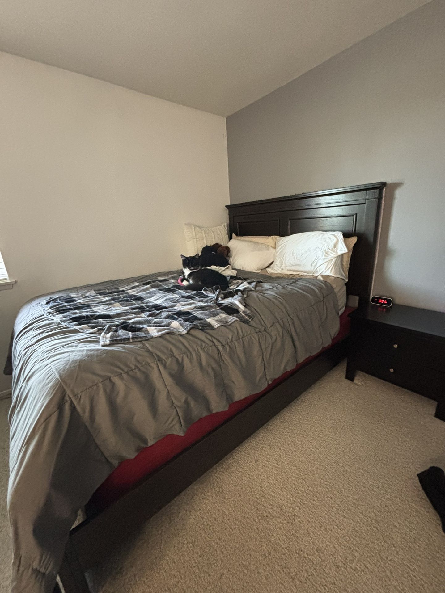 Bed Frame