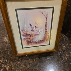 Framed Duck Wildlife Art – 13x11