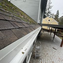 New Gutter’s 