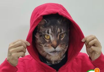 Realistic cat mask