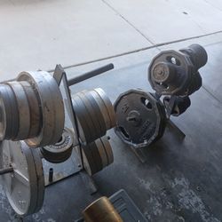 Weights 