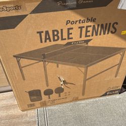 Ping Pong Table 
