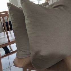 Two Couch Pillows