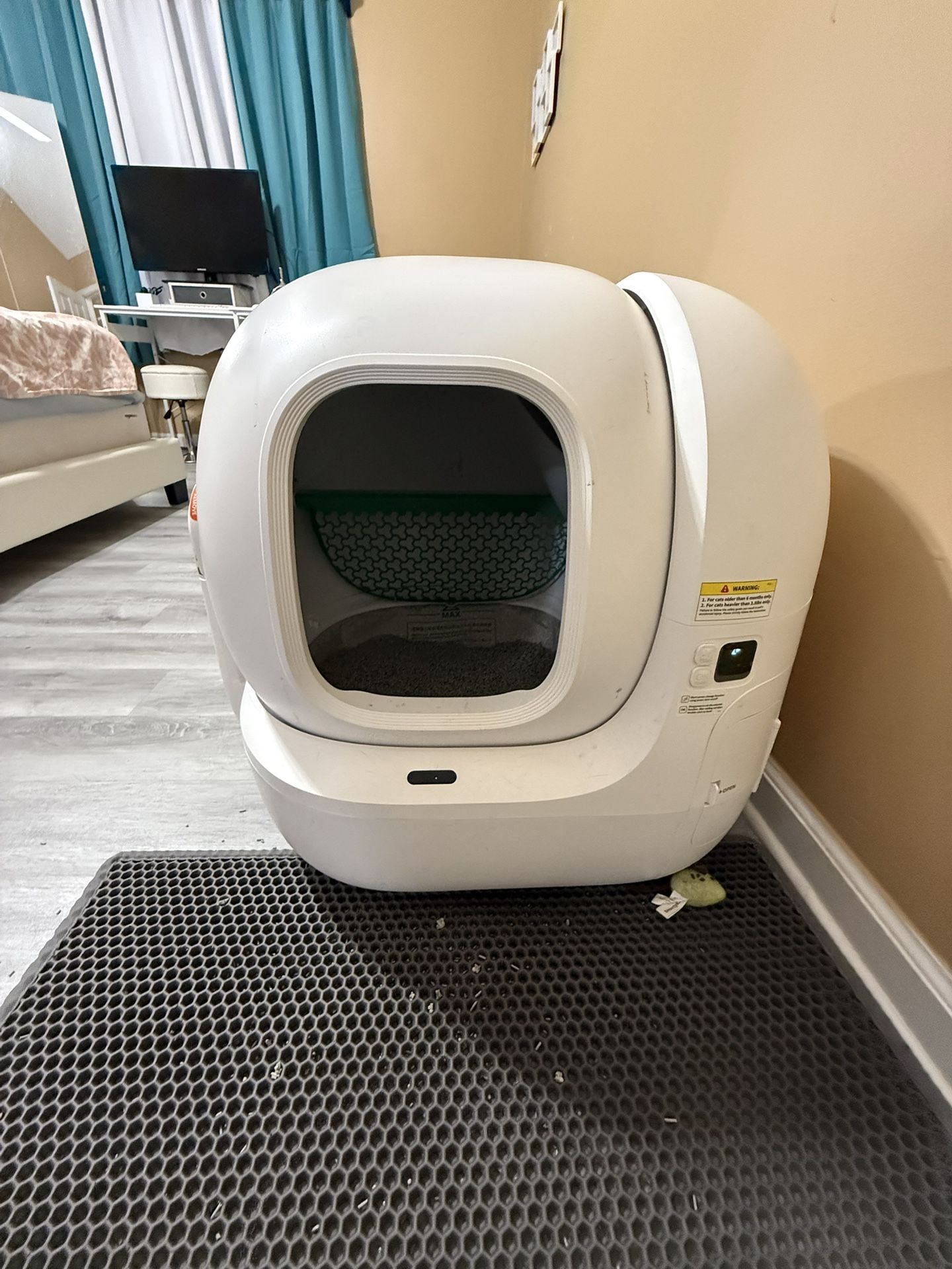 everything for your cat