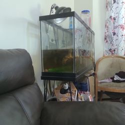 55 Gal Tank With Turtle  Light And Filter 