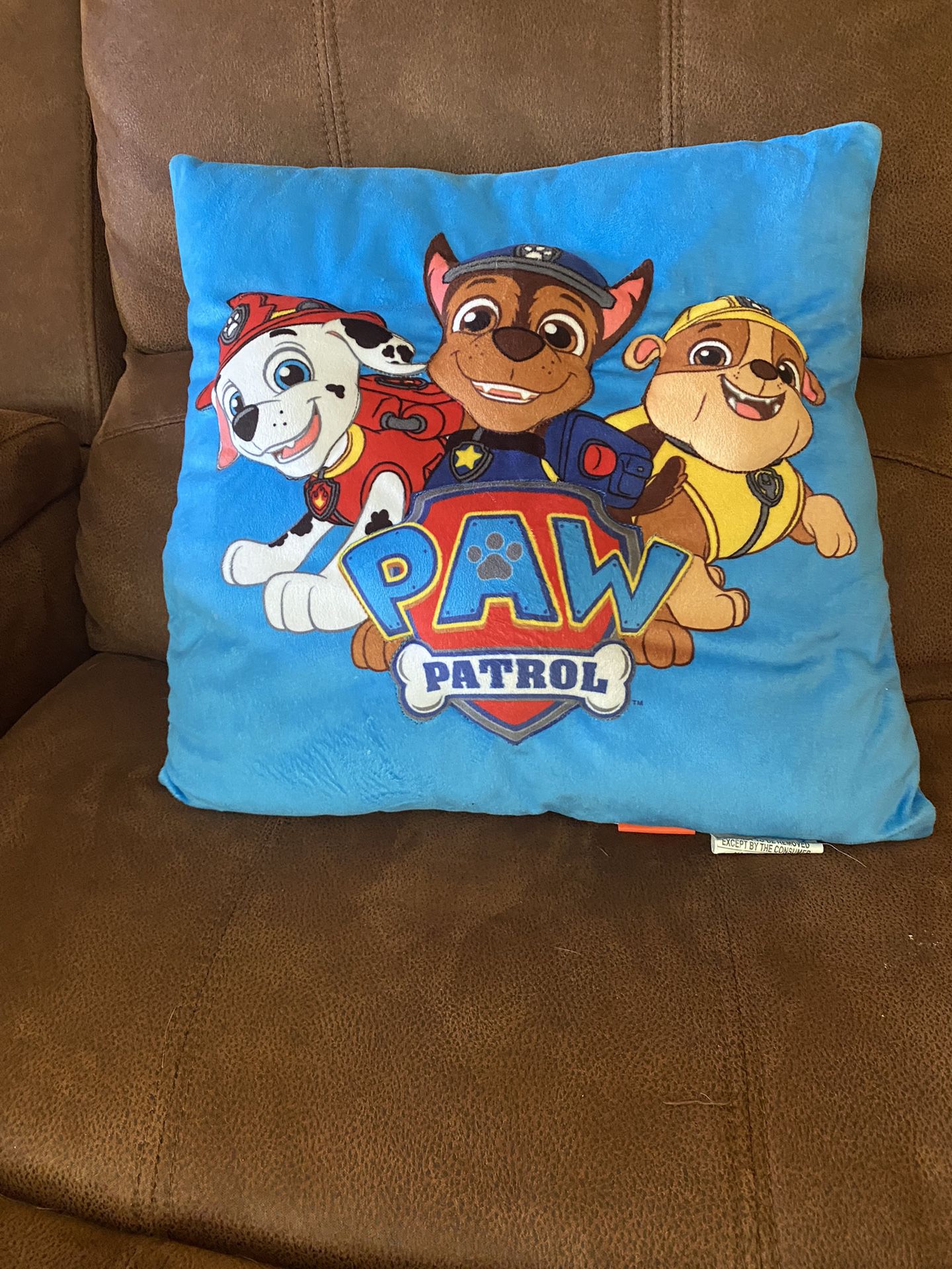Paw Patrol Pillow 
