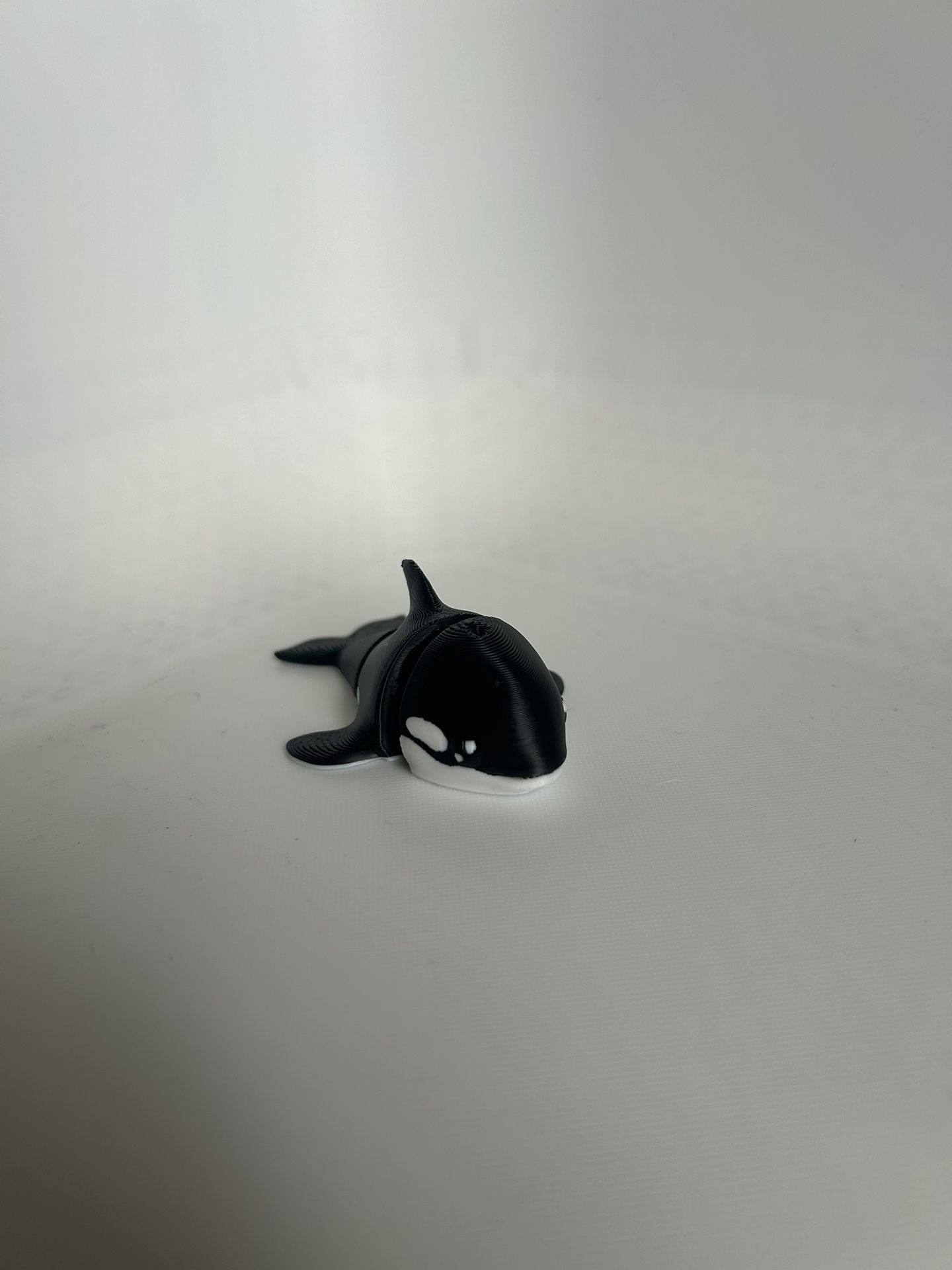 Little Whale Toy