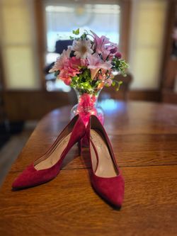 Jessica Simpson Red Suede Pointed-Toe Pumps