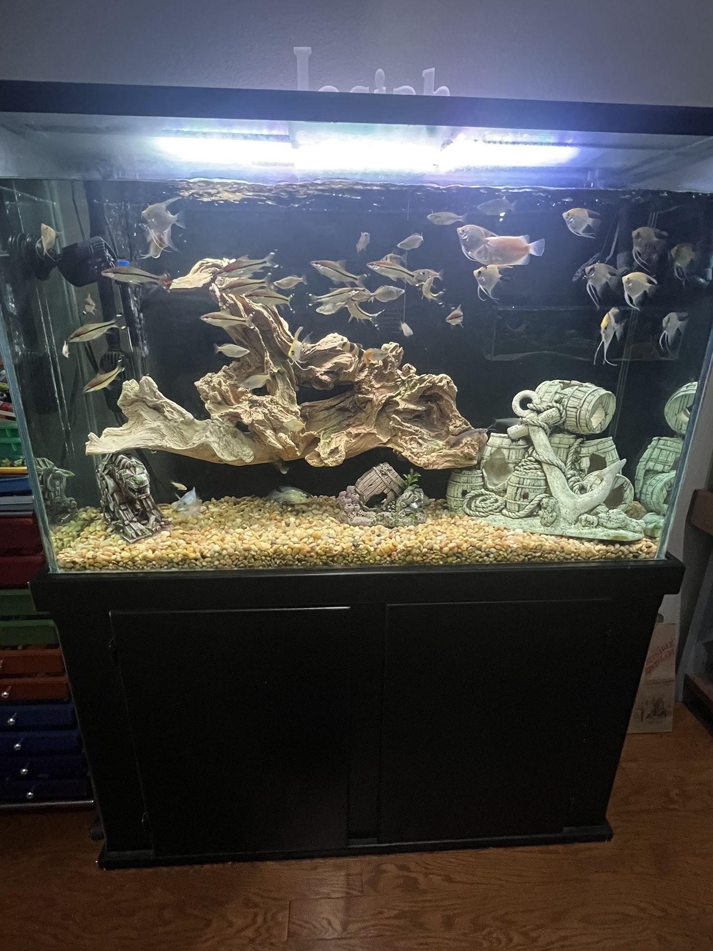 Fish Tank For Sale for Sale in Fontana, CA OfferUp