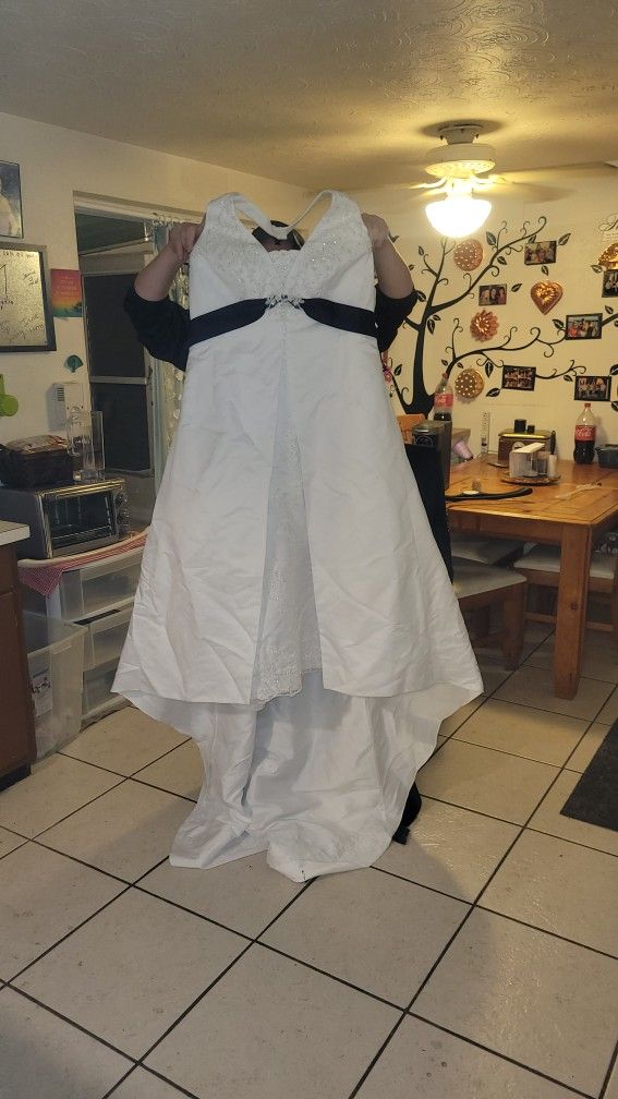 David's Bridal Plus Size Wedding Dress With Veil
