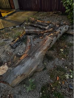 Logs for fire wood