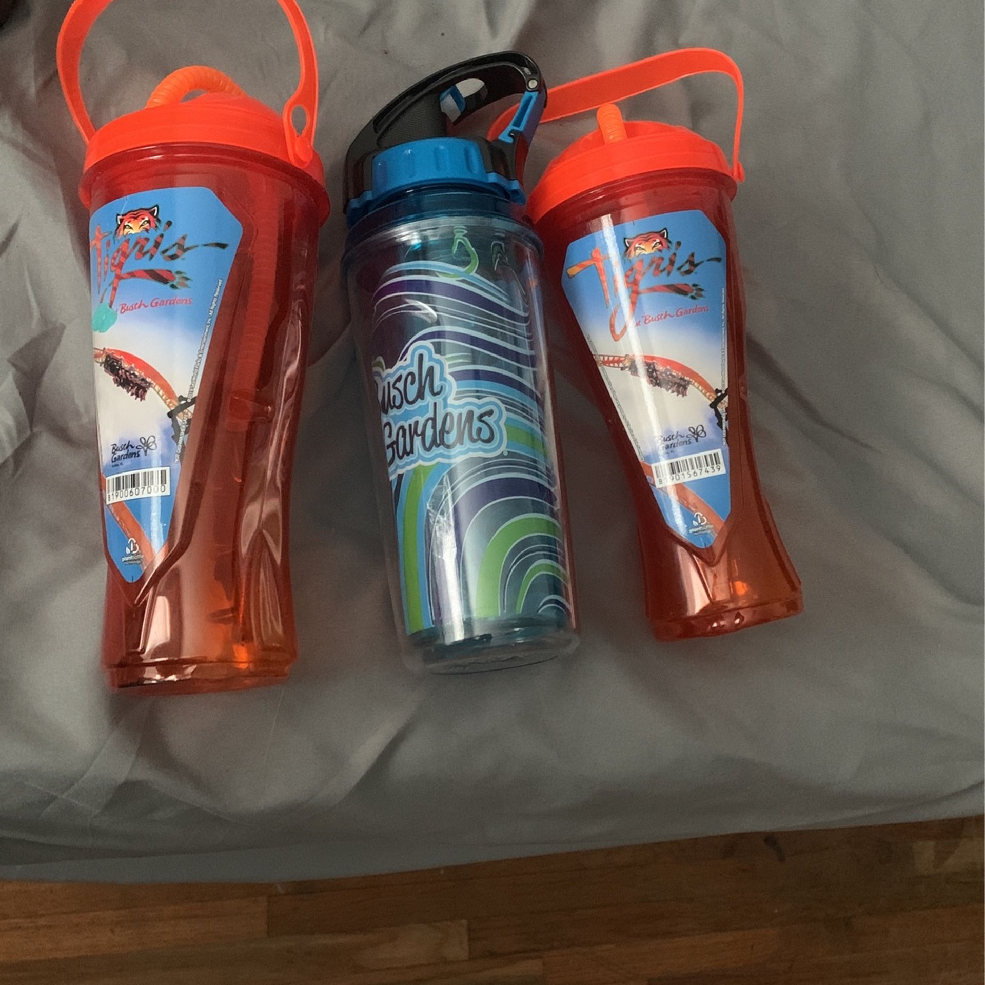 Busch Garden Cups