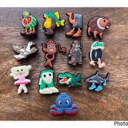 Italian brain rot, croc charms bundle